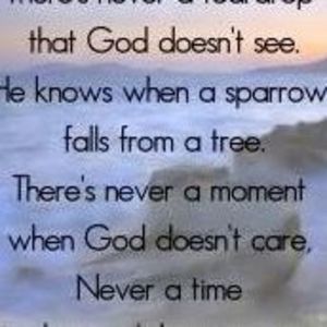 Meet your Posher, Gloria